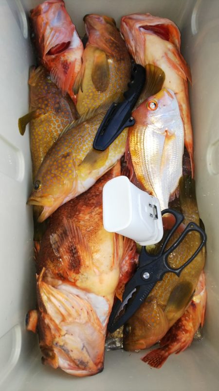 第二龍勢丸 釣果