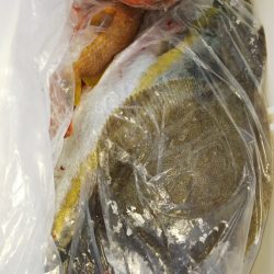 第二龍勢丸 釣果