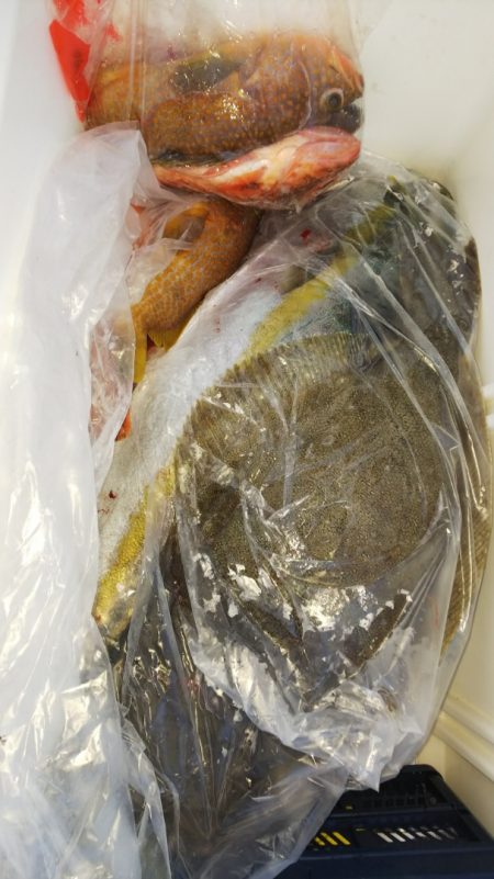 第二龍勢丸 釣果