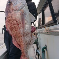 だて丸 釣果