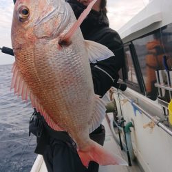 だて丸 釣果