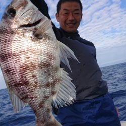 だて丸 釣果