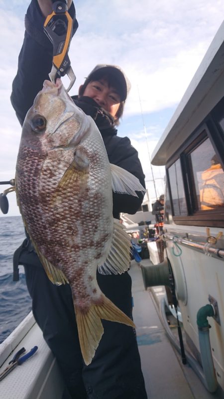 だて丸 釣果