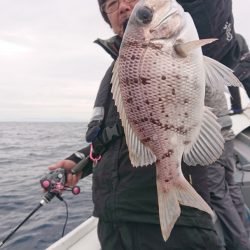 だて丸 釣果