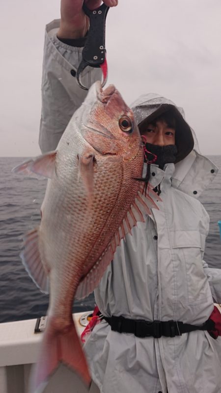 ARCADIAⅡ (アルカディアⅡ) 釣果