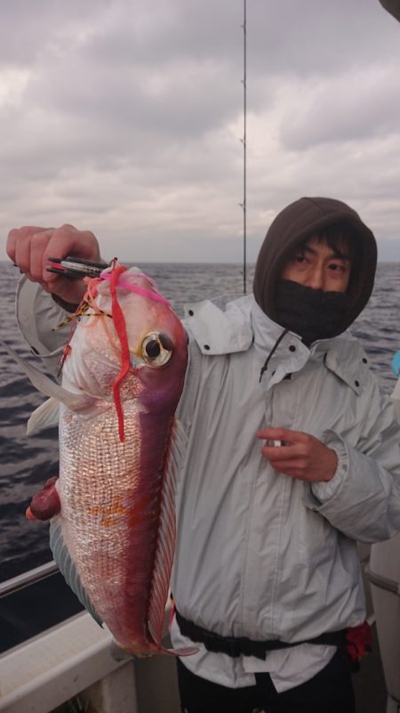 ARCADIAⅡ (アルカディアⅡ) 釣果