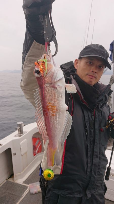 ARCADIAⅡ (アルカディアⅡ) 釣果