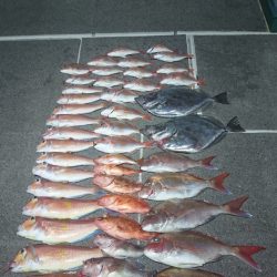 ARCADIAⅡ (アルカディアⅡ) 釣果