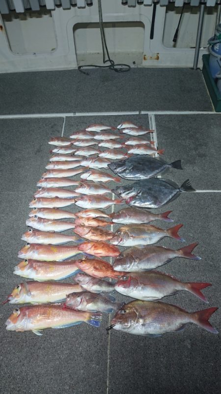 ARCADIAⅡ (アルカディアⅡ) 釣果