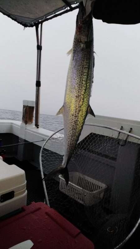 第二龍勢丸 釣果