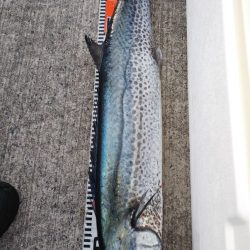 第二龍勢丸 釣果