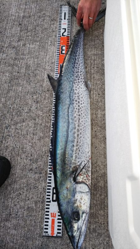 第二龍勢丸 釣果