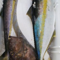 第二龍勢丸 釣果