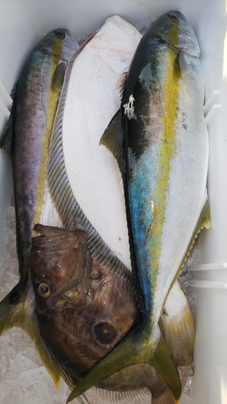 第二龍勢丸 釣果