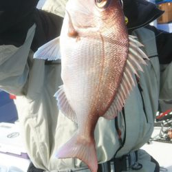 新幸丸 釣果