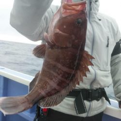 新幸丸 釣果