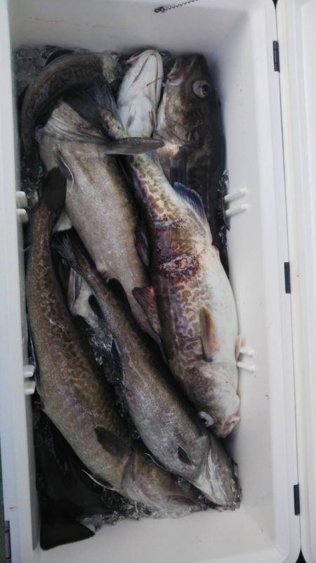 海龍丸（石川） 釣果