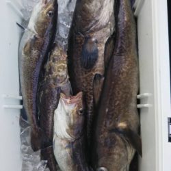 海龍丸（石川） 釣果