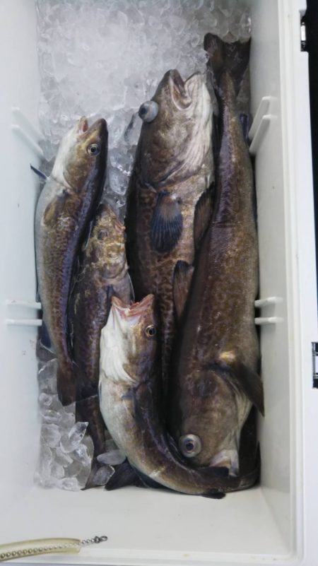 海龍丸（石川） 釣果