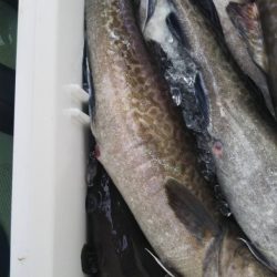 海龍丸（石川） 釣果