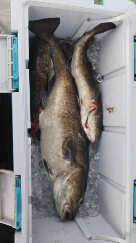 海龍丸（石川） 釣果