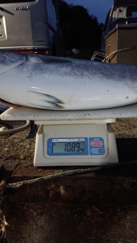 ARCADIAⅡ （アルカディアⅡ） 釣果