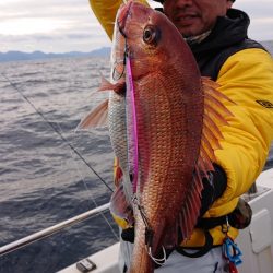 ARCADIAⅡ （アルカディアⅡ） 釣果