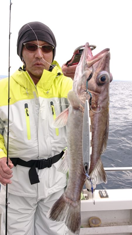 ARCADIAⅡ （アルカディアⅡ） 釣果