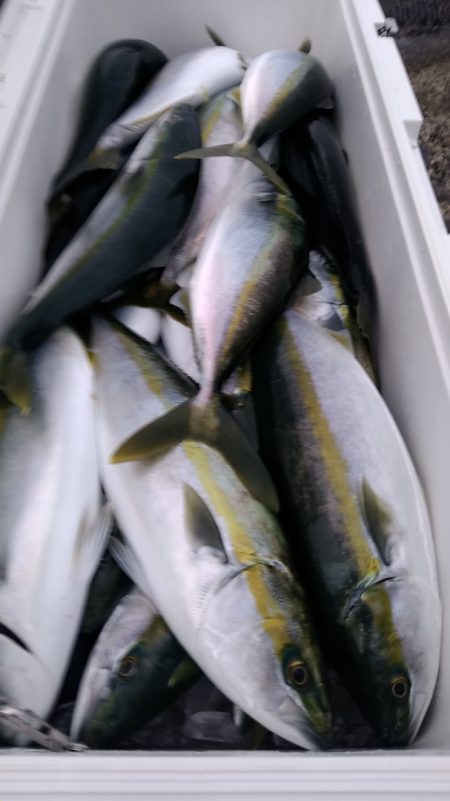 LUSTER『ラスター』 釣果