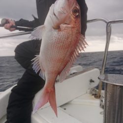 だて丸 釣果