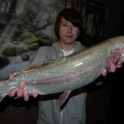 としまえんフィッシングエリア 釣果