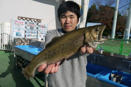 としまえんフィッシングエリア 釣果