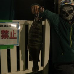 としまえんフィッシングエリア 釣果