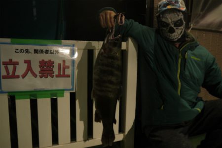 としまえんフィッシングエリア 釣果