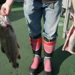 としまえんフィッシングエリア 釣果