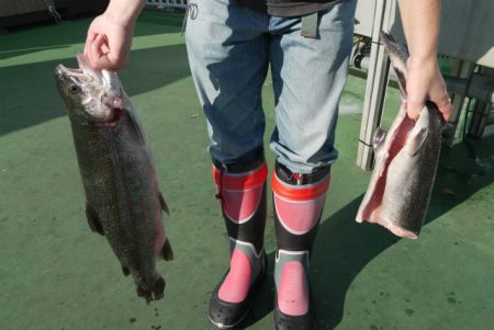 としまえんフィッシングエリア 釣果