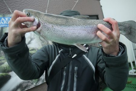 としまえんフィッシングエリア 釣果