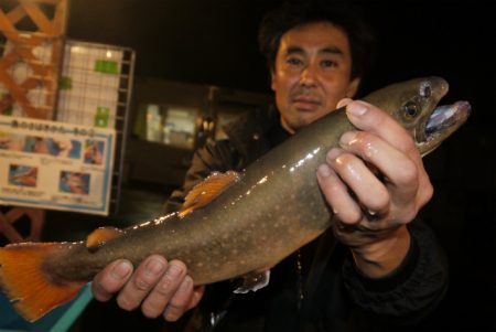 としまえんフィッシングエリア 釣果