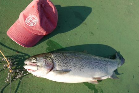 としまえんフィッシングエリア 釣果