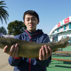 としまえんフィッシングエリア 釣果