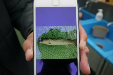 としまえんフィッシングエリア 釣果