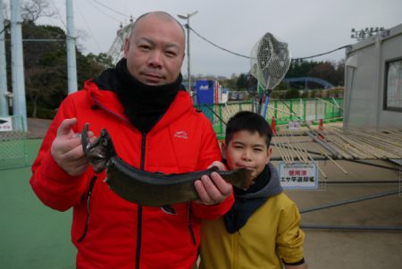 としまえんフィッシングエリア 釣果
