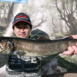 としまえんフィッシングエリア 釣果