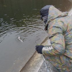 平谷湖フィッシングスポット 釣果