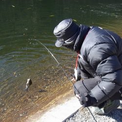 平谷湖フィッシングスポット 釣果