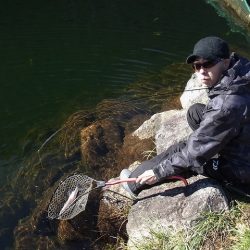 平谷湖フィッシングスポット 釣果