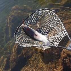 平谷湖フィッシングスポット 釣果