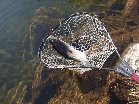 平谷湖フィッシングスポット 釣果