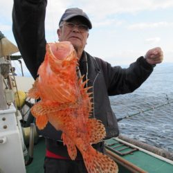 真祐丸 (しんゆうまる) 釣果