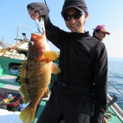 真祐丸 (しんゆうまる) 釣果